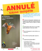 Serge Monfort et Toupoil, la BD-Nature des enfants invités au 4ème festival de la photographie animalière de Brasparts (29), les 4 et 5 novembre 2023.